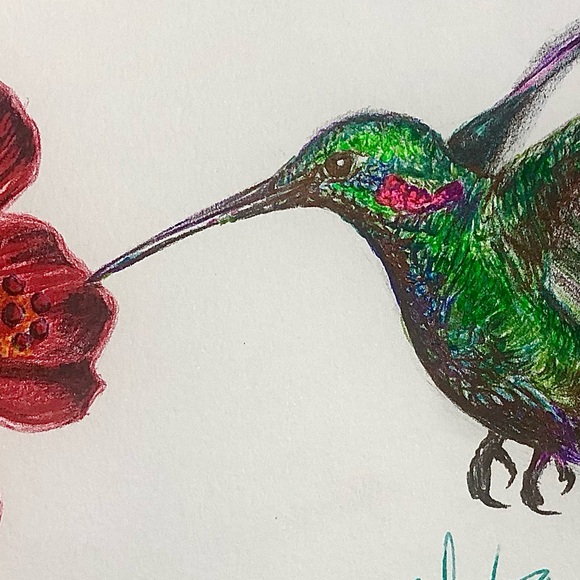 Hummingbird - Picture 2 of 2